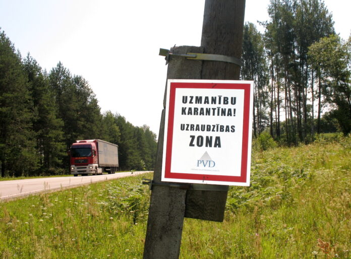 Āfrikas cūku mēris Latvijā, Baltic Pork Ogres novads, 20 000 cūku likvidēšana, ĀCM uzliesmojums 2025, PVD brīdinājums, cūkkopība Latvijā