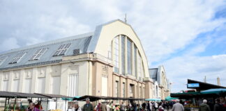 Rīgas nami, Rīgas dome, Centrāltirgus, LPV, ārkārtas sēde, padomes atstādināšana, valdes atstādināšana, Gatis Truksnis, Rīgas nami pārvaldība, matrjoškas Centrāltirgū