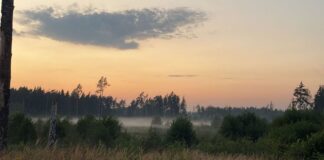 laika prognoze, ciklons Latvijā, lietus prognoze, brāzmains vējš, nedēļas nogales laiks, sinoptiķu prognoze, rudens laiks Latvijā, laiks nedēļas nogalē