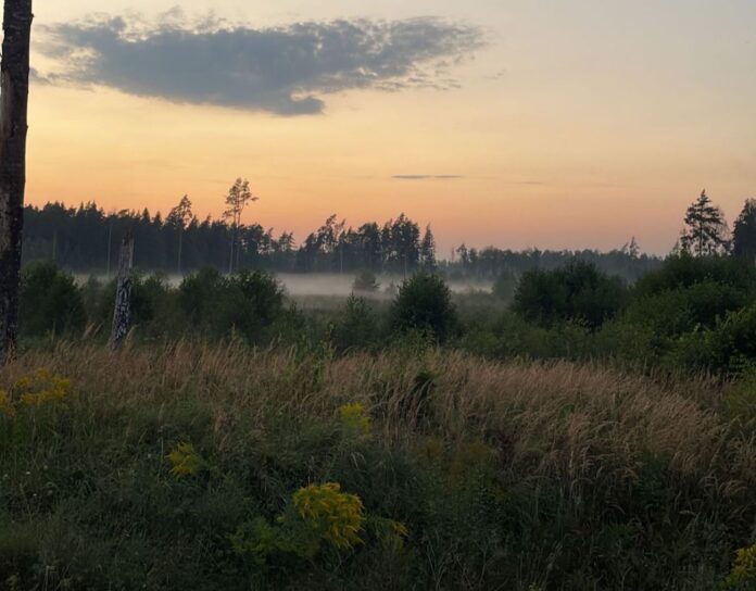 laika prognoze, ciklons Latvijā, lietus prognoze, brāzmains vējš, nedēļas nogales laiks, sinoptiķu prognoze, rudens laiks Latvijā, laiks nedēļas nogalē