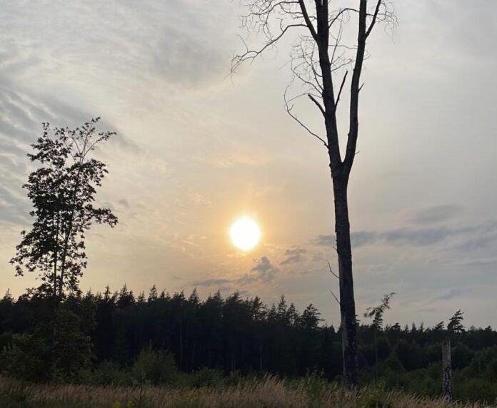 laikapstākļi Latvijā, laika prognoze, salna Latvijā, rudens laiks, migla, lietusgāzes, pērkona negaiss, anticiklons, nedēļas nogales prognoze