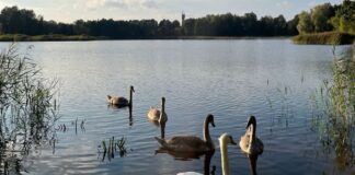 Latvijas laika prognoze, salna Latvijā, laiks brīvdienās, vējš līdz 19 m/s, laiks nākamnedēļ, nokrišņi Latvijā, anticiklons Latvijā