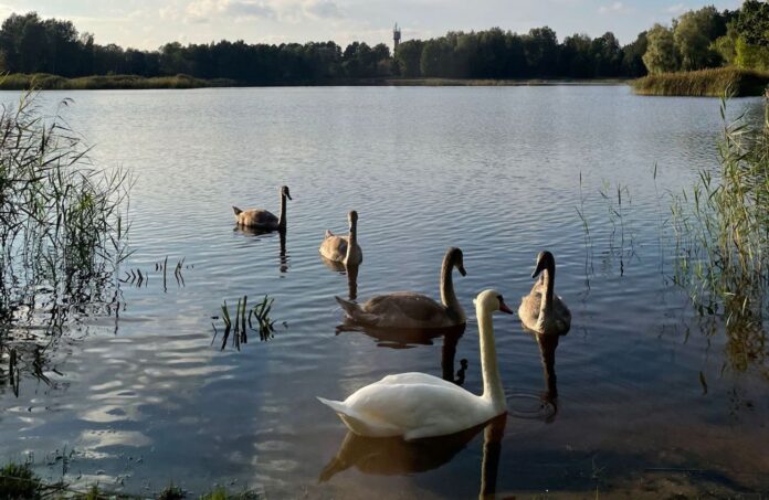 Latvijas laika prognoze, salna Latvijā, laiks brīvdienās, vējš līdz 19 m/s, laiks nākamnedēļ, nokrišņi Latvijā, anticiklons Latvijā