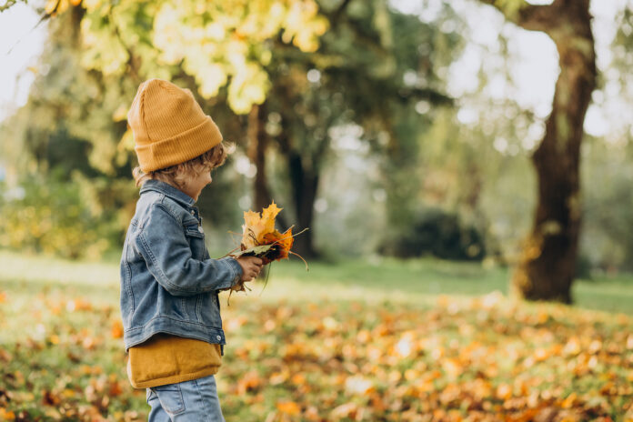 rudens nodarbes bērniem, rudens aktivitātes bērniem, radošas idejas rudenim, kastaņu spēles bērniem, zīļu rotas bērniem, lapu herbārijs bērniem, rudens darbi bērniem, rudens padomi vecākiem