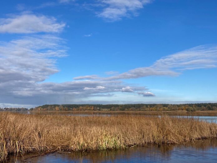 laikapstākļi Latvijā, laikapstākļu prognoze, laika ziņas, nedēļas nogales laiks, ciklons Latvijā, siltā nedēļas nogale, lietains laiks, rudens prognoze, migla, dienvidaustrumu vējš, lietus Latvijā, brīvdienu prognoze, meteorologi, gaisa temperatūra Latvijā, oktobra beig