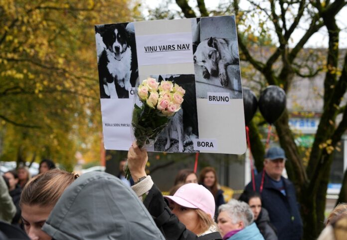 Bauska pikets, suņu nošaušana Bauskas novadā, Egīls Gailis atstādināts, Bauskas pašvaldības policija, kriminālprocess par cietsirdību pret dzīvniekiem, datu noplūde Bauska,
