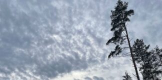 Laika prognoze, laikapstākļi Latvijā, piektdien lietus, brāzmains vējš, LVĢMC, brīvdienu laikapstākļi, temperatūra Latvijā, svētdiena lietus, migla, nokrišņi, ciklons, anticiklons, piekrastes vējš, laika ziņas