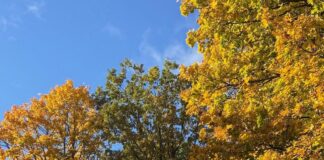 laikapstākļi Latvijā, laika prognoze, LVĢMC, meteorologi, rudens laiks, lietus prognoze, brāzmains vējš, ziemeļrietumu vējš, temperatūras kritums,