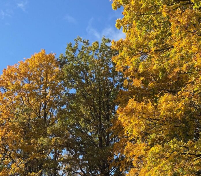 laikapstākļi Latvijā, laika prognoze, LVĢMC, meteorologi, rudens laiks, lietus prognoze, brāzmains vējš, ziemeļrietumu vējš, temperatūras kritums,