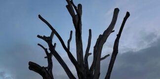 laikapstākļi Latvijā, laikapstākļu prognoze, lietus Latvijā, migla, ciklons, vējš, temperatūra Latvijā, brīvdienu laiks, auksts laiks, laika prognoze, sinoptiķi, laiks šonedēļ,
