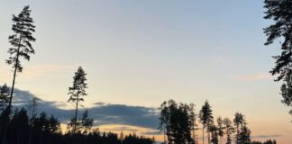 laika prognoze, laiks Latvijā, laiks šonedēļ, lietus, migla, rudens laiks, temperatūra Latvijā, brīvdienu laiks, sinoptiķu prognoze, mākoņains laiks, rudenīgs laiks,