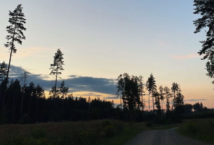 Foto: BNN laika prognoze, laiks Latvijā, laiks šonedēļ, lietus, migla, rudens laiks, temperatūra Latvijā, brīvdienu laiks, sinoptiķu prognoze, mākoņains laiks, rudenīgs laiks,
