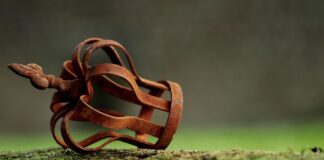 Svarīgi, Lielbritānija, karalis Čārlzs, princis Endrjū, Bekingemas pils, britu karaļnams, Džefrijs Epstīns, dzimumnoziegumi,