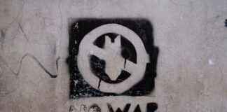 Svarīgi, Donalds Tramps, Gaza, Izraēla, Hamas, Palestīna, miera plāns, pamiers, Tuvie Austrumi