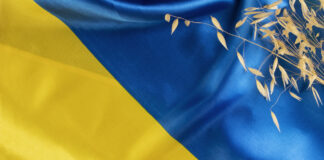 Latvija, Krievijas aktīvi, iesaldētie aktīvi, Ukraina, Eiropadome, ES sankcijas, ārlietu ministrija, Ukrainas atbalsts, Krievijas Centrālā banka