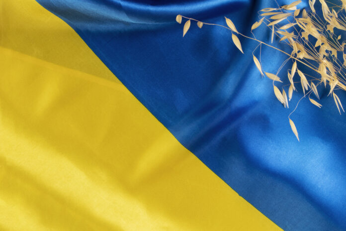 Latvija, Krievijas aktīvi, iesaldētie aktīvi, Ukraina, Eiropadome, ES sankcijas, ārlietu ministrija, Ukrainas atbalsts, Krievijas Centrālā banka