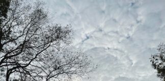 laikapstākļi Latvijā, laika prognoze, LVĢMC, Latvijas Vides ģeoloģijas un meteoroloģijas centrs, brīvdienu laikapstākļi, lietus prognoze, pērkona negaiss, rudens vējš,