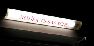 Inese Siliņeviča, Rīgas rajona tiesa, Saeima, kriminālvajāšana, tiesneses izdošana, dienesta stāvokļa ļaunprātīga izmantošana, fiktīvi darbinieki, Latvijas tiesu sistēma,