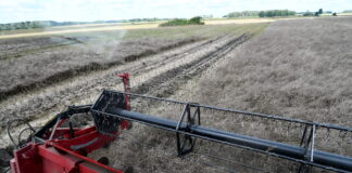 lauksaimniecības zaudējumi, lauksaimnieku atbalsts, ārkārtējā situācija lauksaimniecībā, laika apstākļu postījumi, lietavas un salnas, lauksaimniecības kultūraugi, kviešu kvalitāte