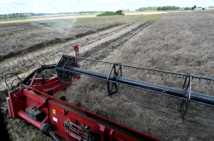 lauksaimniecības zaudējumi, lauksaimnieku atbalsts, ārkārtējā situācija lauksaimniecībā, laika apstākļu postījumi, lietavas un salnas, lauksaimniecības kultūraugi, kviešu kvalitāte