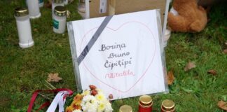 Brunavas suņu lieta, Bauskas novads, PVD izmeklēšana, suņu nošaušana, klaiņojoši suņi, stirnas sakodšana, administratīvais process, Valsts policija, dzīvnieku labturība,