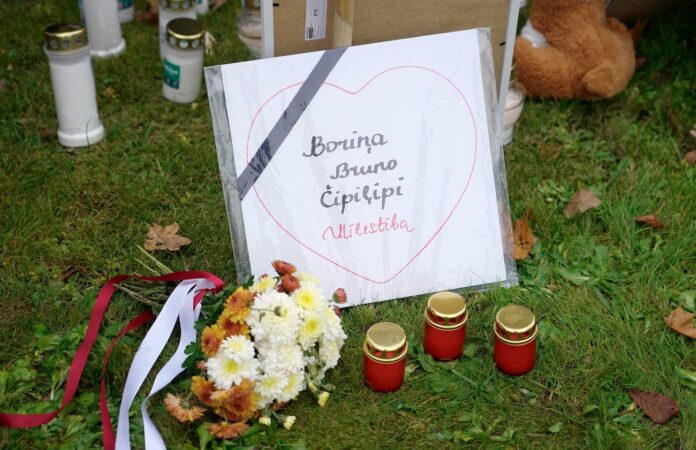 Brunavas suņu lieta, Bauskas novads, PVD izmeklēšana, suņu nošaušana, klaiņojoši suņi, stirnas sakodšana, administratīvais process, Valsts policija, dzīvnieku labturība,