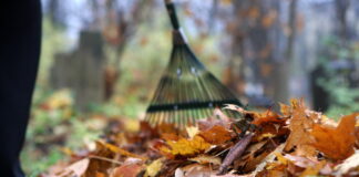 Kapsētu likums, Saeimas Valsts pārvaldes un pašvaldību komisija, darba grupa, VARAM, Valsts kontrole, Satversmes tiesa, kapavietu piešķiršana, kapsētu uzturēšana