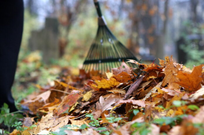 Kapsētu likums, Saeimas Valsts pārvaldes un pašvaldību komisija, darba grupa, VARAM, Valsts kontrole, Satversmes tiesa, kapavietu piešķiršana, kapsētu uzturēšana