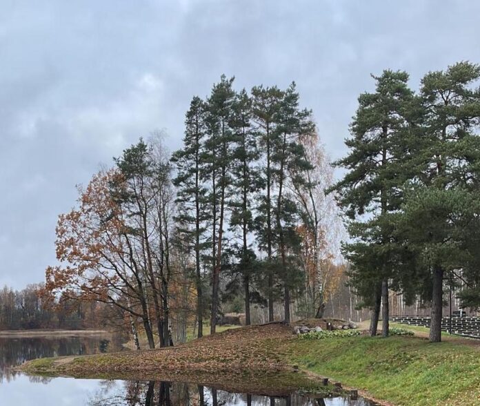 laikapstākļi Latvijā, laika prognoze, brīvdienu laiks, meteoroloģijas prognoze, mākoņains laiks, migla, neliels lietus, LVĢMC, laiks Rīgā