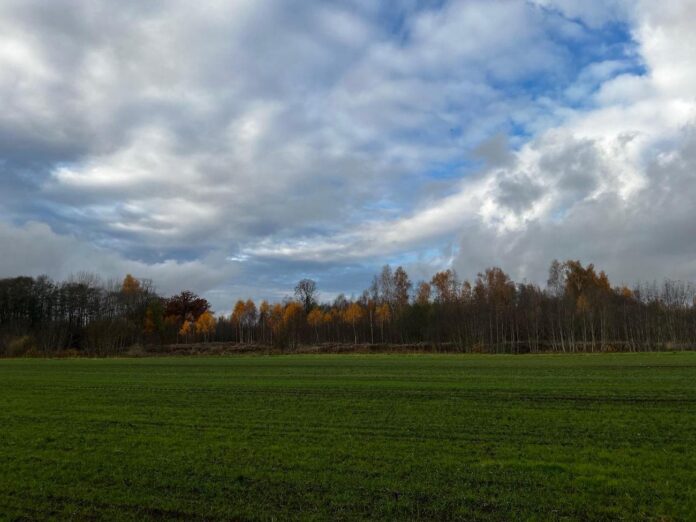 aika prognoze, laiks Latvijā, nedēļas laika prognoze, sinoptiķi, laikapstākļi, laika ziņas, lietus, migla, temperatūra Latvijā, laikapstākļi nedēļai, sinoptiķu prognoze, brāzmains vējš,