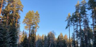 aika prognoze Latvija, meteorologi, slapjš sniegs, lietus, migla Kurzemē, brāzmains vējš, temperatūra Latvijā, ciklons, nokrišņi, brīvdienu laiks, LVĢMC prognoze, slideni ceļi, laiks piektdien, laiks nedēļas nogalē