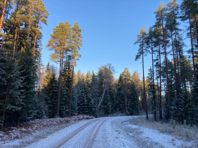 aika prognoze Latvija, meteorologi, slapjš sniegs, lietus, migla Kurzemē, brāzmains vējš, temperatūra Latvijā, ciklons, nokrišņi, brīvdienu laiks, LVĢMC prognoze, slideni ceļi, laiks piektdien, laiks nedēļas nogalē