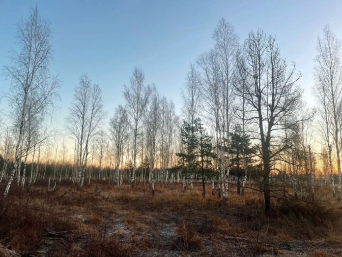 laikaprognoze Latvija, sniegs Latvijā, LVĢMC prognoze, slideni ceļi, laika ziņas, laikapstākļi Latvijā, sals Latvijā, snigšana, piekrastes laiks, sinoptiķu brīdinājums, laiks šonedēļ, temperatūra Latvijā, ziemas prognoze, stiprs vējš piekrastē