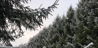 laikaprognoze Latvija, sniegs Vidzemē, sniega sega 9 cm, slideni ceļi, autovadītāju brīdinājums, ziemas laika apstākļi, LVĢMC prognoze,