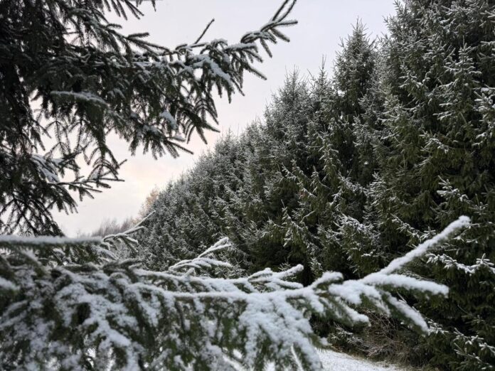 laikaprognoze Latvija, sniegs Vidzemē, sniega sega 9 cm, slideni ceļi, autovadītāju brīdinājums, ziemas laika apstākļi, LVĢMC prognoze,