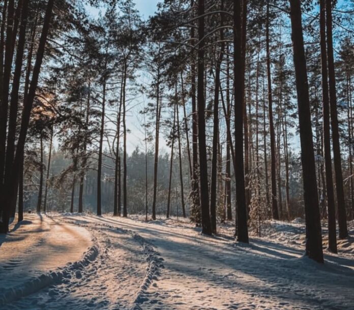 laika prognoze Latvija, atkala, stiprs apledojums, slapjš sniegs, lietus un sniegs, LVĢMC prognoze, brīvdienu laika apstākļi, slideni ceļi, dienvidu vējš,