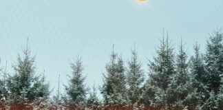 aikapstākļi Latvijā, prognoze brīvdienām, atkala, apledojums uz ceļiem, slapjš sniegs, lietus un sniegs, sinoptiķu brīdinājums, slideni ceļi, LVĢMC prognoze,