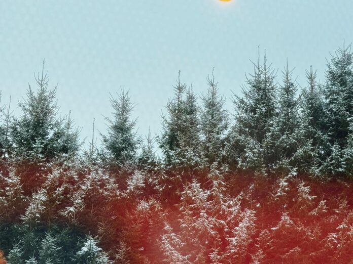 aikapstākļi Latvijā, prognoze brīvdienām, atkala, apledojums uz ceļiem, slapjš sniegs, lietus un sniegs, sinoptiķu brīdinājums, slideni ceļi, LVĢMC prognoze,