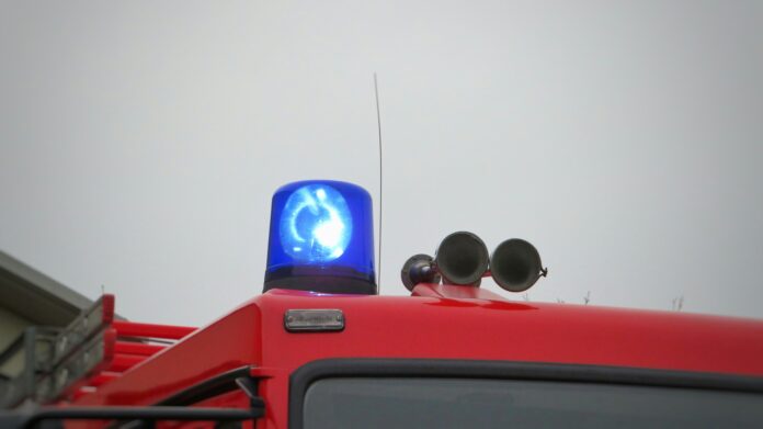 Svarīgi, Lietuva, tiesībsargājošās iestādes, algu palielināšana, protests, Lietuvas budžets, policija, robežsardze, ugunsdzēsēji,