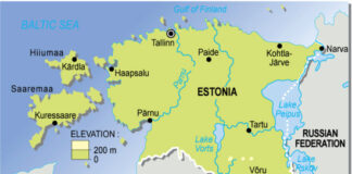 Svarīgi, Igaunija, Krievija, Igaunijas-Krievijas robeža, Narva, Peipuss, krievu robežsargi, Igors Taro, PPA