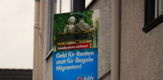 Svarīgi, Vācija, AfD, galēji labējie, radikāli labējie, vēlēšanas, vēlētāju atbalsts, Alise Veidela, labējās partijas,