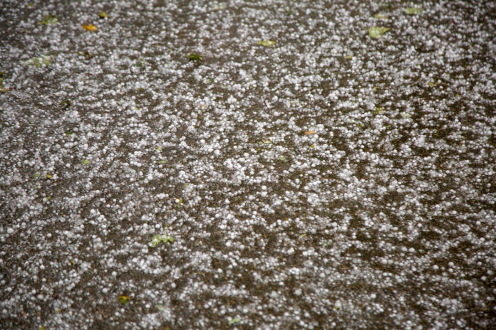 Satversmes tiesa, ST spriedums, piespiedu dalītais īpašums, zemes likumiskā lietošana, 4% likme, kadastrālā vērtība, universālā kadastrālā vērtība, fiskālā vērtība, zemes īpašnieku atlīdzība, zemes noma,