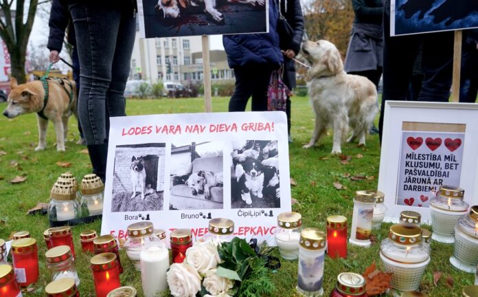 suņu nošaušana, Brunavas pagasts, Bauskas novads, pašvaldības policija, disciplinārsods, cietsirdība pret dzīvniekiem, Valsts policija, kriminālprocess, klaiņojoši suņi, dzīvnieku aizsardzība