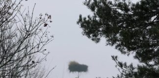 laikapstākļi Latvijā, laikaprognoze nedēļai, migla Latvijā, nokrišņi nedēļas sākumā, lietus prognoze, sniegpārslas Latvijā, gaisa temperatūra –1 +4, laikapstākļi brīvdienās, dienvidu vējš,