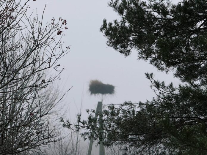 laikapstākļi Latvijā, laikaprognoze nedēļai, migla Latvijā, nokrišņi nedēļas sākumā, lietus prognoze, sniegpārslas Latvijā, gaisa temperatūra –1 +4, laikapstākļi brīvdienās, dienvidu vējš,