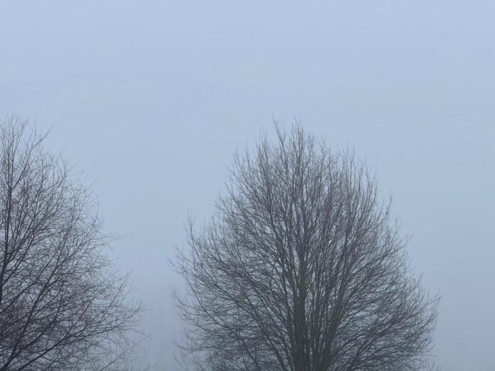 aikapstākļi Latvijā, laika prognoze, migla, slapjš sniegs, nokrišņi Latvijā, brīvdienu laikapstākļi, mākoņains laiks, gaisa temperatūra Latvijā, nedēļas prognoze, laiks brīvdienās