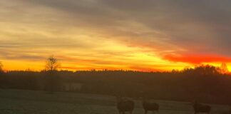 laikapstākļi Latvijā, nedēļas laikapstākļu prognoze, migla un atkala, slideni ceļi, sniegs austrumos, lietus Latvijā, brāzmains vējš, anticiklons, gaisa temperatūra, laikapstākļi nedēļas nogalē, satiksmes drošība, sinoptiķu prognoze