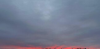 laikapstākļi Latvijā, pirmssvētku laikapstākļi, anticiklons, migla naktīs, gaisa temperatūra, nokrišņu prognoze, laikapstākļi nedēļai, sinoptiķu prognoze, vējš Latvijā, laikapstākļi nākamnedēļ