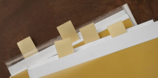 Svarīgi, Lietuva, LRT, Seims, likumprojekta labojumi, sabiedriskie mediji, obstrukcija