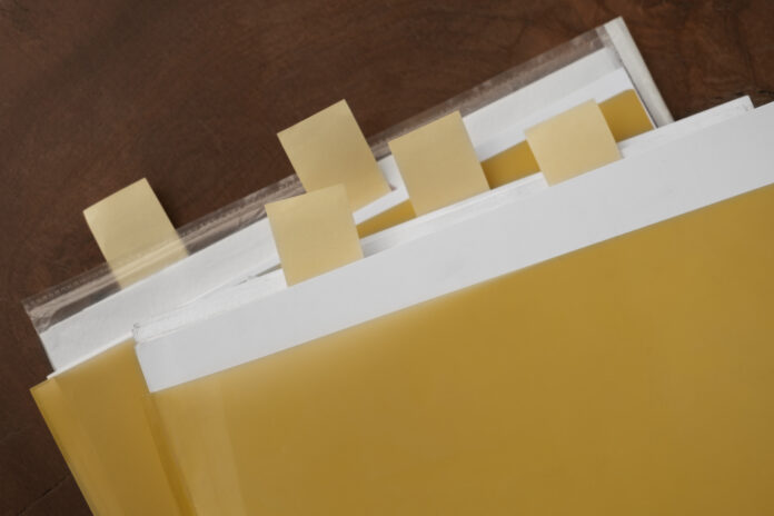 Svarīgi, Lietuva, LRT, Seims, likumprojekta labojumi, sabiedriskie mediji, obstrukcija